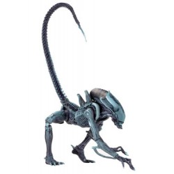 Figura Alien Arachnoid Alien Vs. Predator Neca