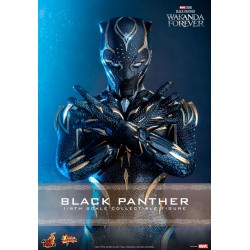 Figura Black Panther Wakanda Forever Escala 1/6 Hot Toys