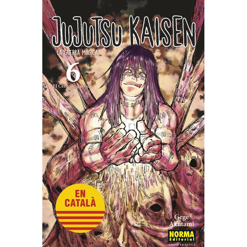 Jujutsu Kaisen 6 Catalán