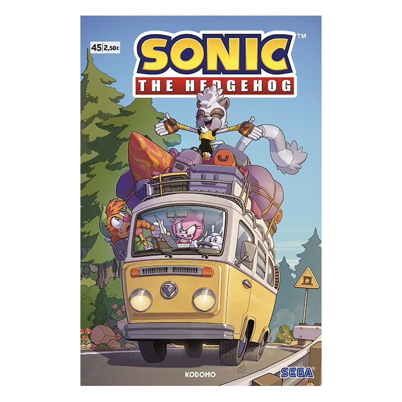 Sonic The Hedgehog 45