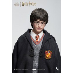Figura Harry Potter Versión Standard Escala 1/6 Queen Studios x INART