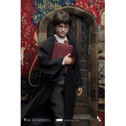 Figura Harry Potter Versión Premium Escala 1/6 Queen Studios x INART