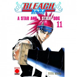 Bleach: Bestseller 11