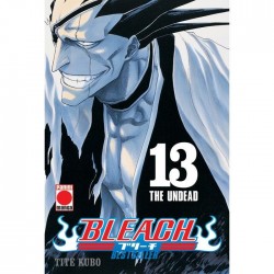 Bleach: Bestseller 13