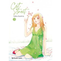 Cat Street 3