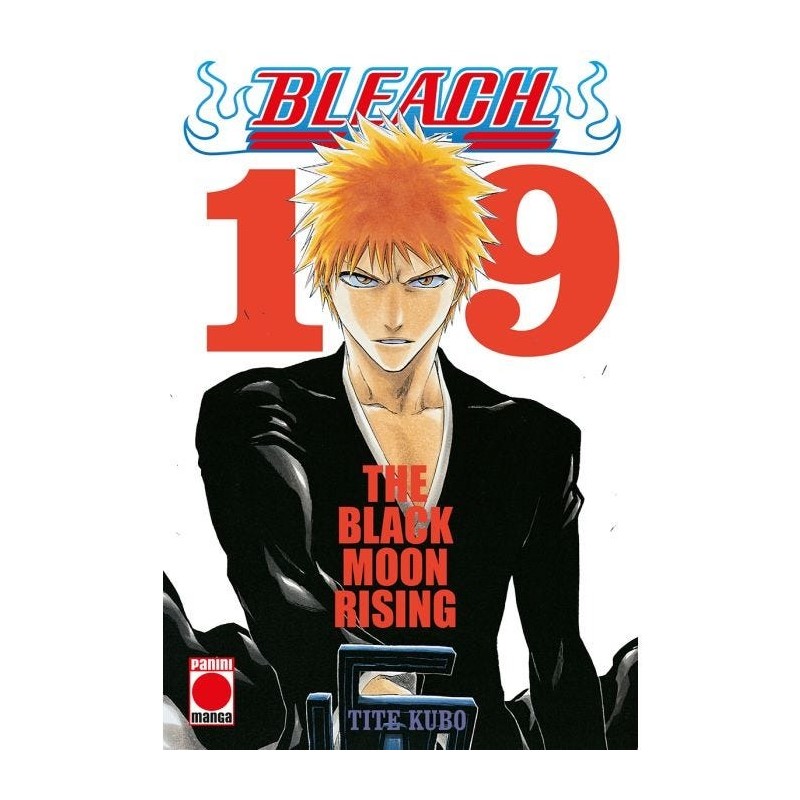 Bleach Bestseller 19