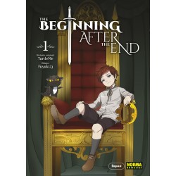 The Beginning after The End 1