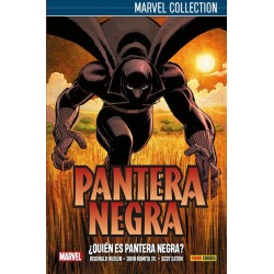Pantera Negra de Hudlin 1. ¿Quién es Pantera Negra? (Marvel Collection)