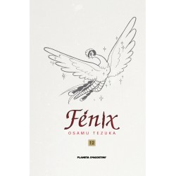 Fenix 12