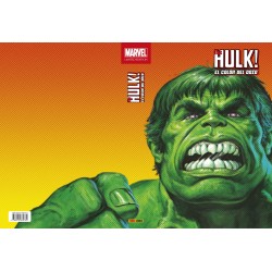 The Hulk 1. Marvel Limited Edition