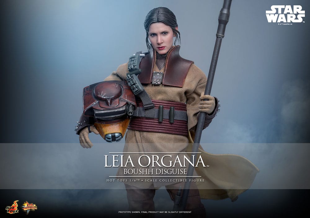 Leia Boushh Hot Toys - Envío gratis